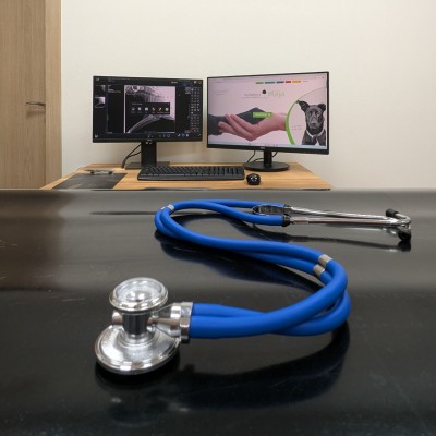 Fotogalerie Veterina Zbýšov