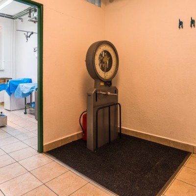 Fotogalerie Veterina Oslavany