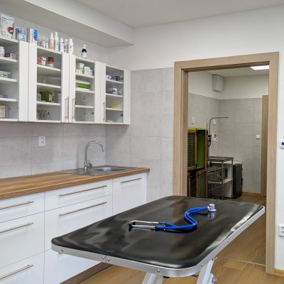 Fotogalerie Veterina Zbýšov