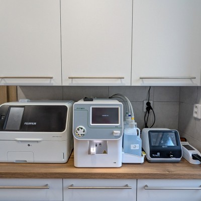 Fotogalerie Veterina Zbýšov