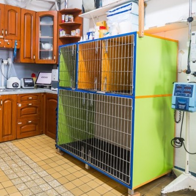 Fotogalerie Veterina Oslavany