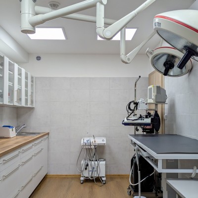 Fotogalerie Veterina Zbýšov