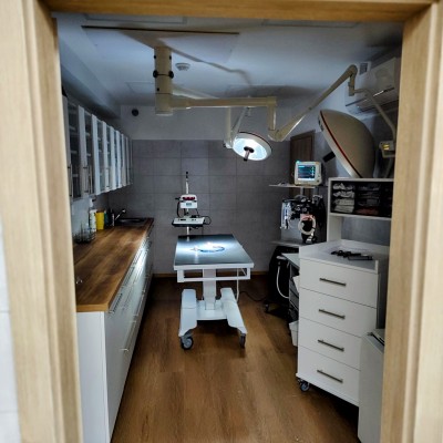 Fotogalerie Veterina Zbýšov