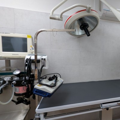 Fotogalerie Veterina Zbýšov