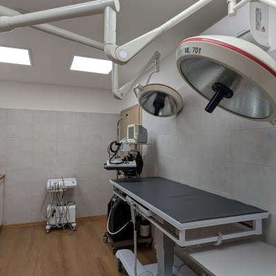 Fotogalerie Veterina Zbýšov