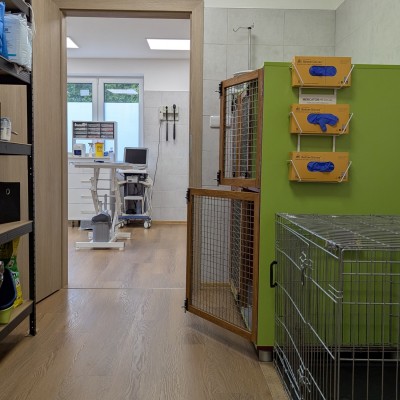 Fotogalerie Veterina Zbýšov