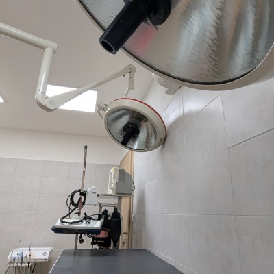 Fotogalerie Veterina Zbýšov