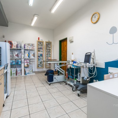 Fotogalerie Veterina Oslavany