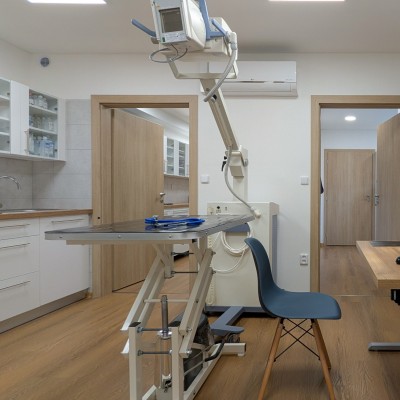 Fotogalerie Veterina Zbýšov