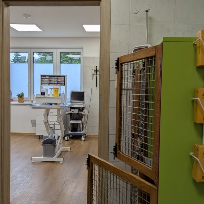 Fotogalerie Veterina Zbýšov