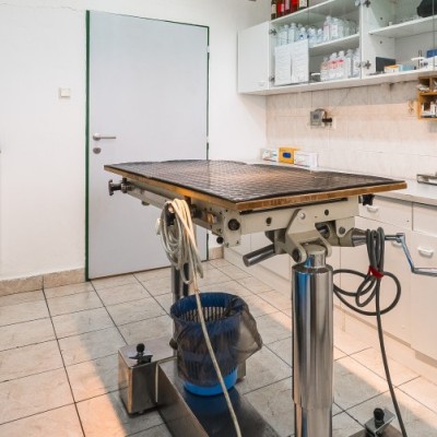 Fotogalerie Veterina Oslavany