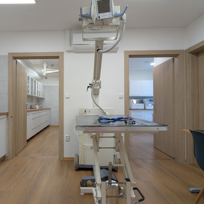 Fotogalerie Veterina Zbýšov