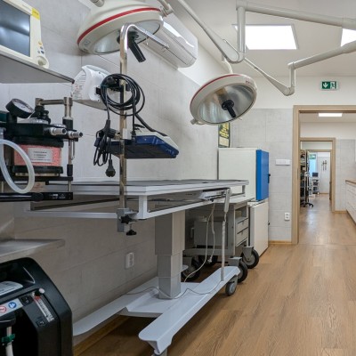 Fotogalerie Veterina Zbýšov