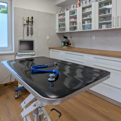 Fotogalerie Veterina Zbýšov