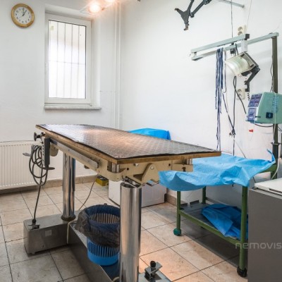 Fotogalerie Veterina Oslavany