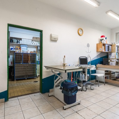 Fotogalerie Veterina Oslavany