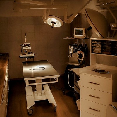 Fotogalerie Veterina Zbýšov