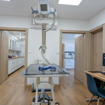 Fotogalerie Veterina Zbýšov